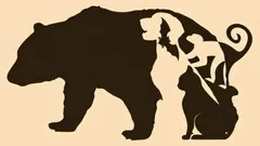 Optický klam s pěti zvířaty: které vidíte jako první a co to vypovídá o vaší osobnosti?